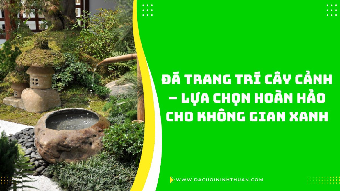Đá Trang Trí Cây Cảnh – Lựa Chọn Hoàn Hảo Cho Không Gian Xanh